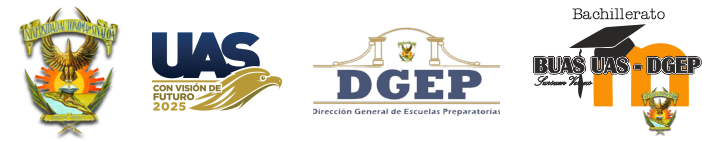 Plataforma de desarrollo